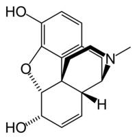 liquid monomer