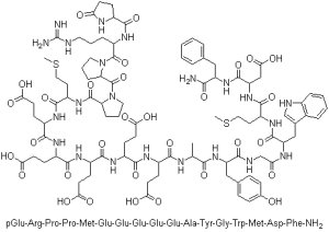 nanoparticle drug delivery