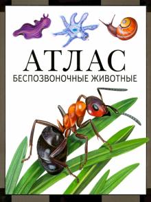 Книга "Атлас. Беспозвоночные животные"