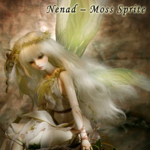 Soom Nenad moss spirit