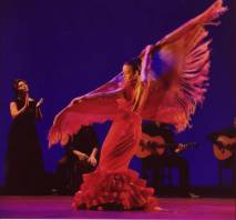 Посмотреть фламенко в уютном испанском баре