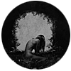 Wildways - Anna - Silver LP