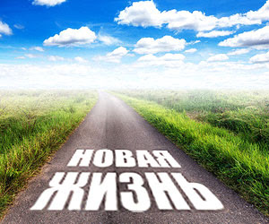 новая жизнь