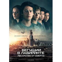 бегущий в лабиринте