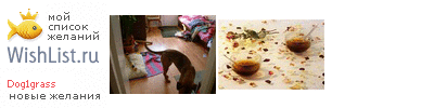 My Wishlist - dog1grass