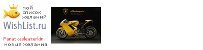 My Wishlist - fanatkasleaterkinney
