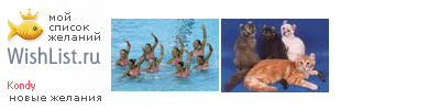 My Wishlist - kondy