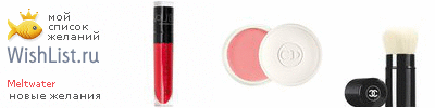 My Wishlist - meltwater