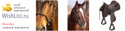 My Wishlist - nkorsika