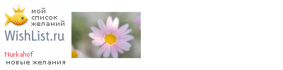 My Wishlist - nurkahof