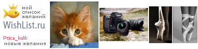 My Wishlist - ptica_kulik