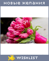 My Wishlist - anna_vienne
