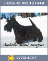 My Wishlist - askarida