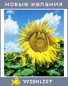 My Wishlist - assai