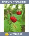 My Wishlist - bukovka_a