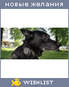 My Wishlist - chornyi_zaychik