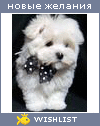 My Wishlist - daisyly