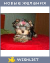 My Wishlist - doody