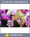 My Wishlist - elfi4ek