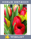 My Wishlist - evzhenya