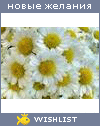 My Wishlist - fieldrose
