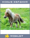 My Wishlist - fly0724