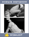 My Wishlist - fyutk1324