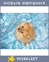 My Wishlist - jeneborozdina