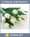 My Wishlist - kanapyshka13