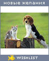 My Wishlist - kira170506