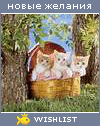 My Wishlist - kosha7