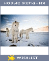 My Wishlist - le_poney_islandais