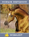 My Wishlist - like_horse