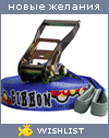 My Wishlist - micro_raccoon