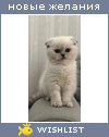 My Wishlist - mona1212