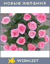 My Wishlist - natadinlen