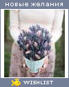 My Wishlist - nn_birthday_wishlist