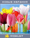 My Wishlist - sagalova