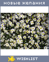 My Wishlist - shenen_navi