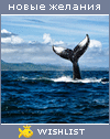My Wishlist - swbl