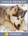 My Wishlist - vik34382345