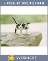 My Wishlist - vilia24