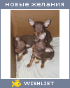 My Wishlist - zheneva4ka